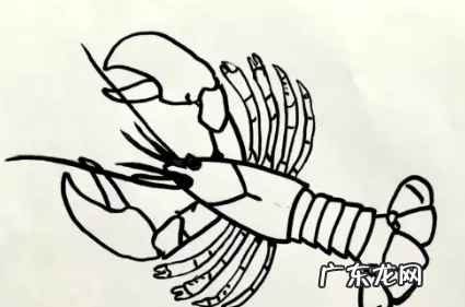 单县美食简笔画,美食怎么画简单又好看有颜色