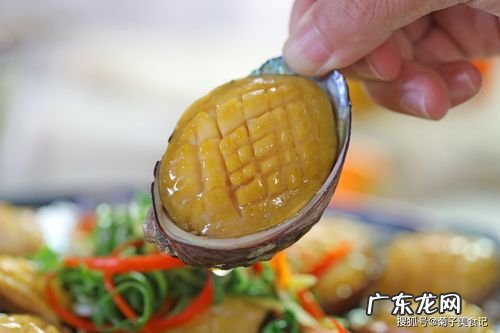 小鲍鱼的做法及清洗,活鲍鱼的清洗及做法