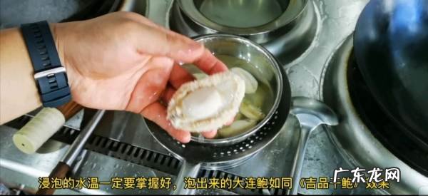 小鲍鱼的做法及清洗,活鲍鱼的清洗及做法