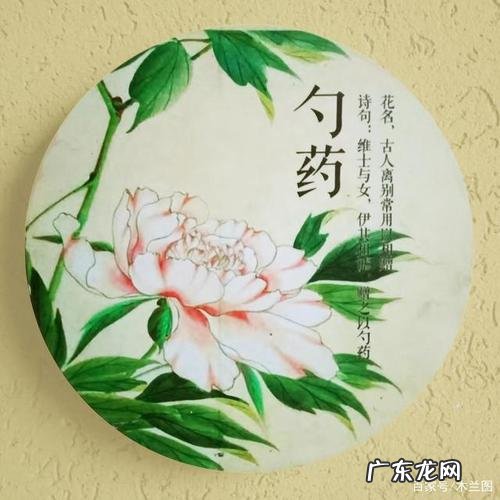 采苓名字的寓意,与采搭配的女孩名字