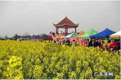 长寿郁金香花海在哪里,重庆主城有哪些赏花的地方
