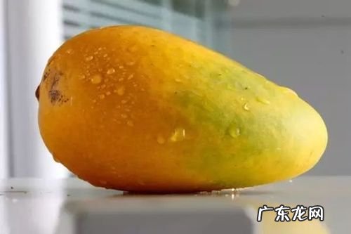 怎么催熟芒果比较快,芒果怎么催熟最快方法