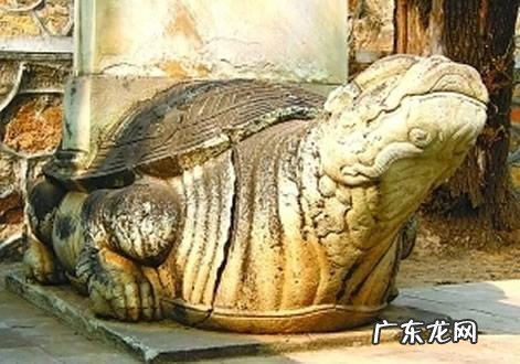 赑屃读音是什么,赑屃怎么读