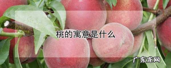 桃的独特寓意,国画桃子的寓意和象征是什么