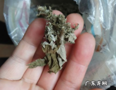 如何把艾叶打成艾绒,自己怎么做艾绒