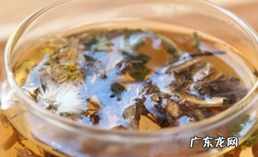 蒲公英的根如何食用,蒲公英根如何食用方法
