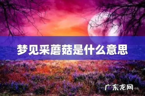 采字含义,采集标本的采是什么意思