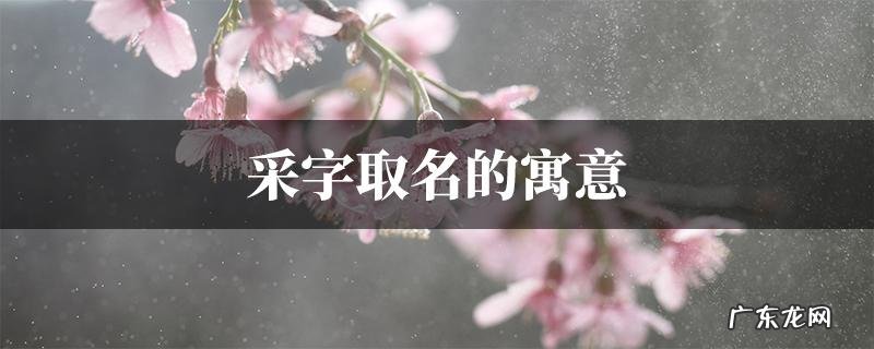 采字含义,采集标本的采是什么意思