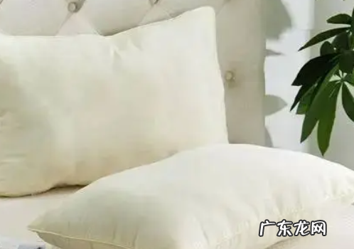 枕芯发黄发霉怎么清洗,枕芯发黄怎么办对身体有害