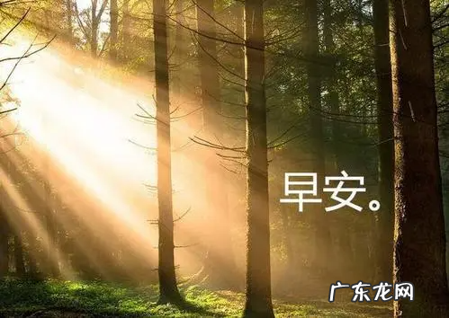 早安暖心话短句,早安情话最暖心短句