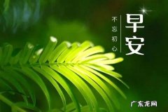早安暖心话短句,早安情话最暖心短句