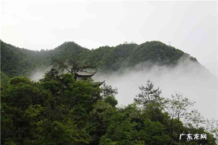 陶山是哪个省的,瑞湖高速经过陶山几个村