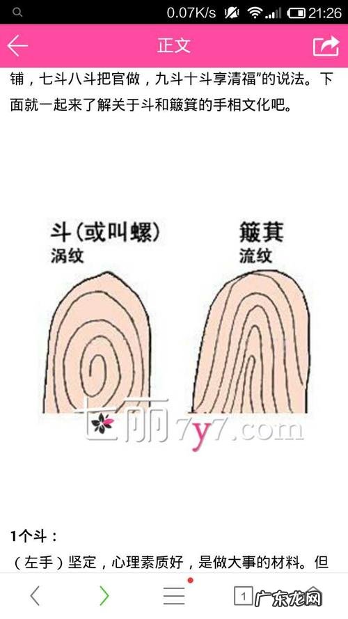 手指斗和簸箕如何区分,手指斗和簸箕的