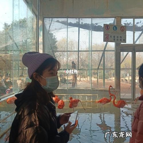 郑州动物园地铁哪一站,华南城到郑州动物园坐地铁哪站下车方便