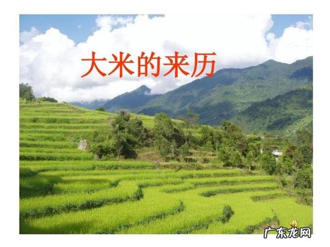 中国大米发源地,中国大米起源于什么年代