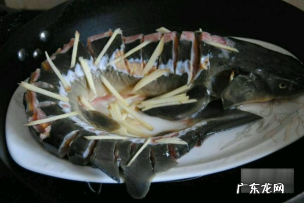 中华鲟怎么做好吃,鲟鱼怎么做好吃又简单还没腥味