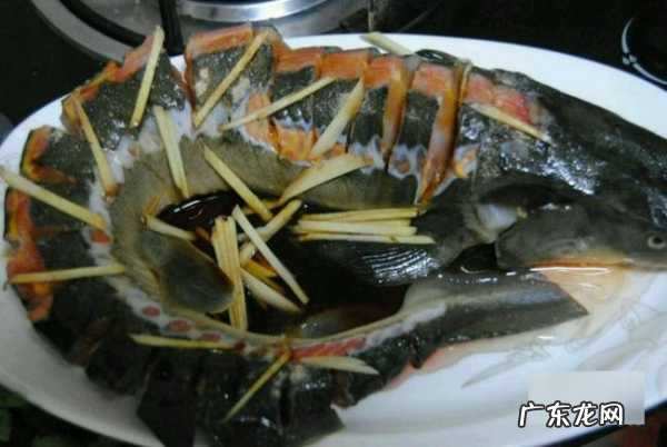 中华鲟怎么做好吃,鲟鱼怎么做好吃又简单还没腥味