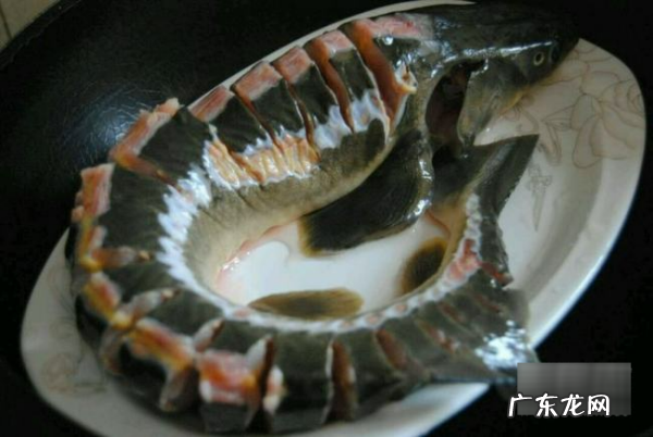中华鲟怎么做好吃,鲟鱼怎么做好吃又简单还没腥味