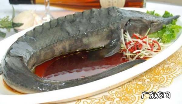 中华鲟怎么做好吃,鲟鱼怎么做好吃又简单还没腥味