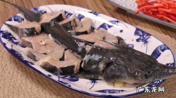 中华鲟怎么做好吃,鲟鱼怎么做好吃又简单还没腥味
