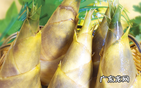笋怎么挑选嫩的,竹笋怎么煮才嫩