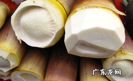 笋怎么挑选嫩的,竹笋怎么煮才嫩