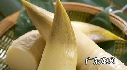 笋怎么挑选嫩的,竹笋怎么煮才嫩