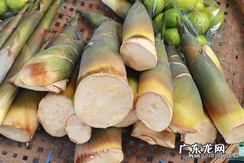 笋怎么挑选嫩的,竹笋怎么煮才嫩