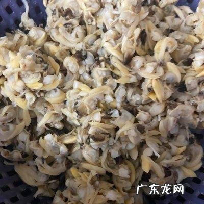 花甲肉怎么处理干净,无壳的花甲肉怎么洗干净