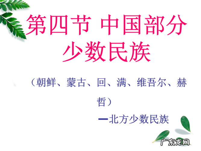 我国北方有哪些少数民族,统一北方的少数民族有哪些