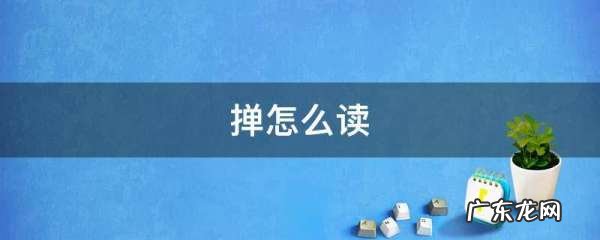 掸翅膀的掸怎么读,some怎么读的读法