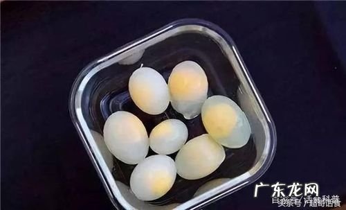鸽子蛋如何保存还能孵,鸽子蛋怎么孵化小鸽子教学