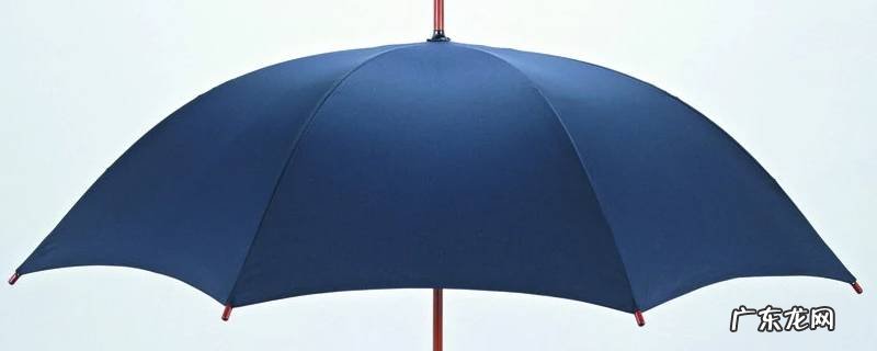雨伞结构 雨伞结构图解