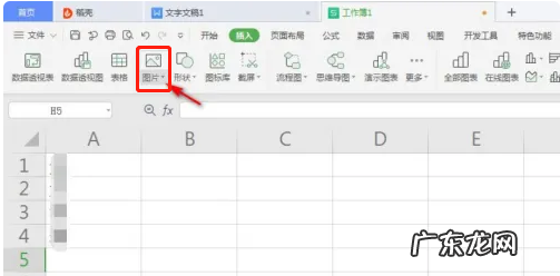 怎么在wps上贴照片,wps怎么插入照片