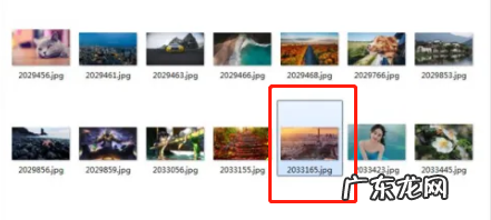 怎么在wps上贴照片,wps怎么插入照片