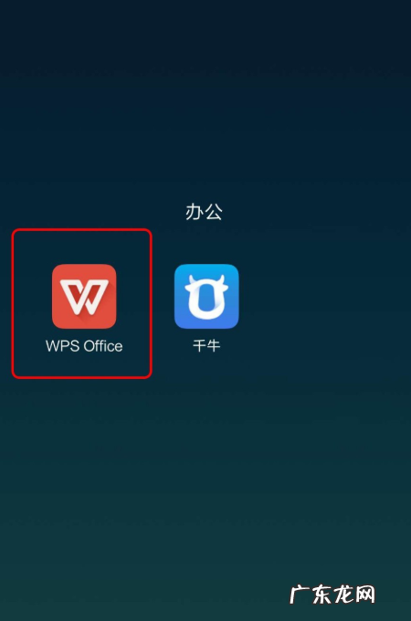 怎么在wps上贴照片,wps怎么插入照片