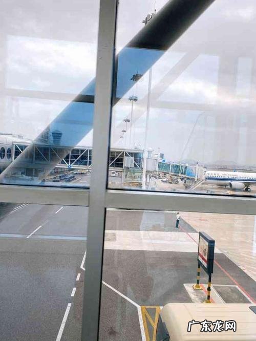 高崎t3和t4有什么区别,高崎开车可以先去t3再去t4