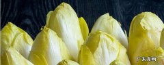 菊苣在农村叫什么 什么叫菊苣?