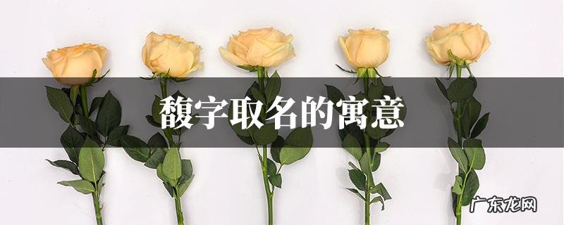 馥雅名字寓意,寓意大富大贵的男孩名字