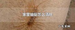 家里有蚰蜒怎么根除,家里蚰蜒怎么来的