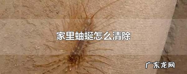 家里有蚰蜒怎么根除,家里蚰蜒怎么来的
