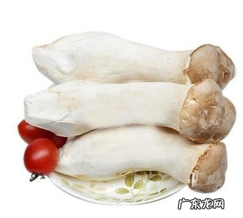杏鲍菇坏了是什么样,杏鲍菇什么样是坏了杏鲍菇放久了有毒
