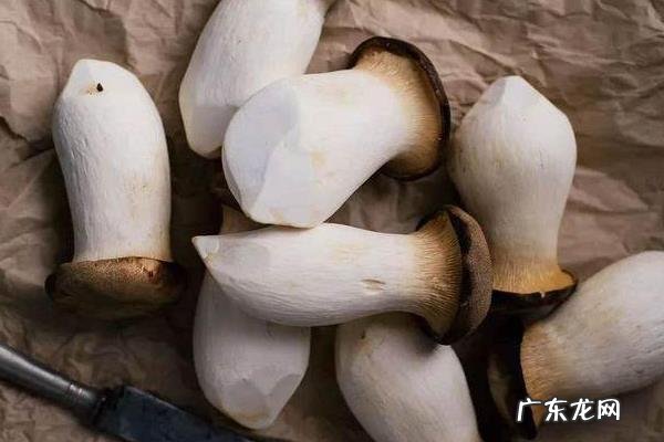 杏鲍菇坏了是什么样,杏鲍菇什么样是坏了杏鲍菇放久了有毒
