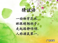 关于猫的谜语,谜底是猫的谜语