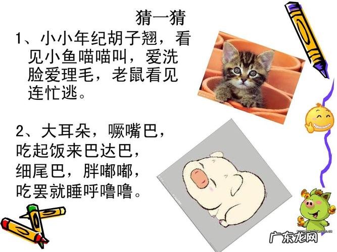 关于猫的谜语,谜底是猫的谜语