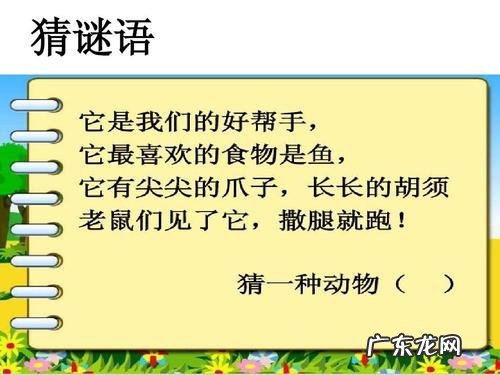 关于猫的谜语,谜底是猫的谜语