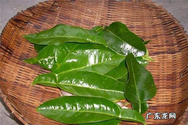 为什么要洗柚子水,柚子皮洗澡有什么用 柚子皮烧成灰的作用