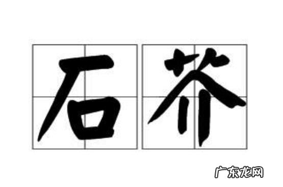 石核是什么意思正确读音,石核值钱