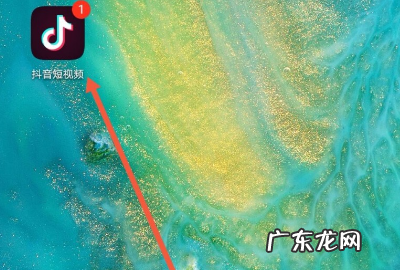 抖音点过赞的怎么没了,为什么抖音点赞显示不出来