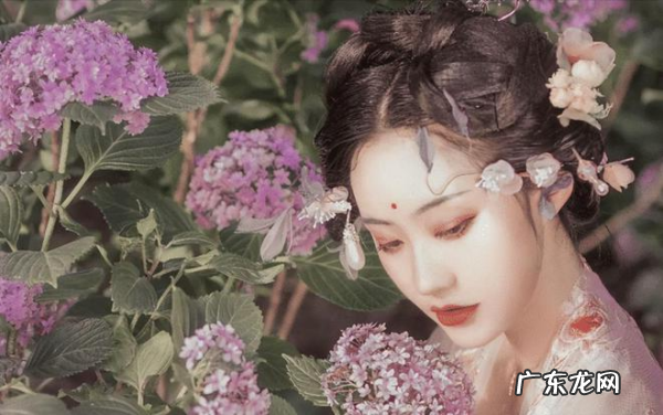 跪怎么读,跪这个字的拼音是什么
